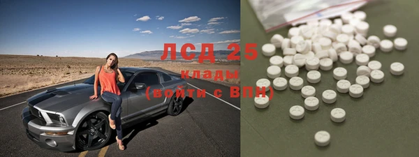 сатива Липки
