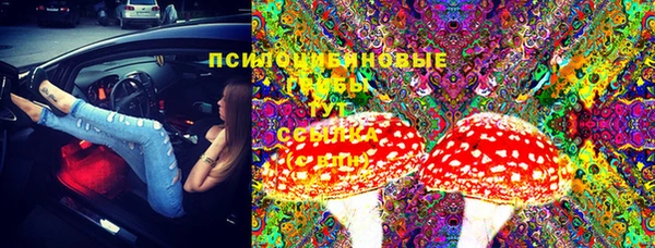 сатива Липки