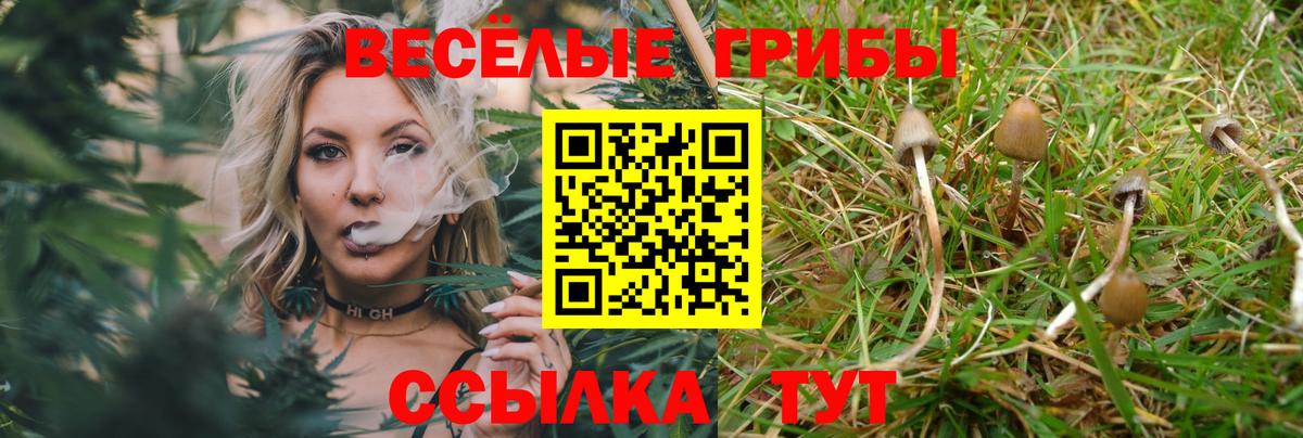 Первоуральск  Галлюциногенные грибы мухоморы  Вход с VPN  Галлюциногенные грибы GOLDEN TEACHER 