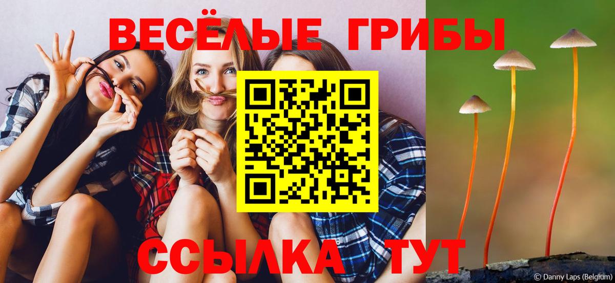 Галлюциногенные грибы Magic Shrooms Первоуральск