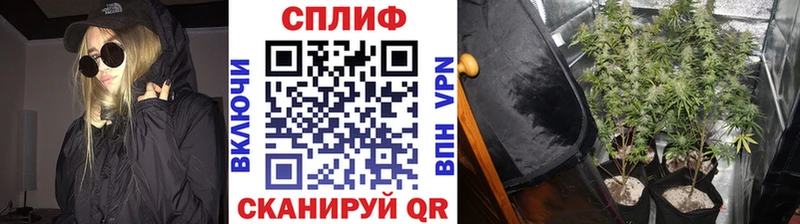 Бошки марихуана VHQ  где продают   Первоуральск 